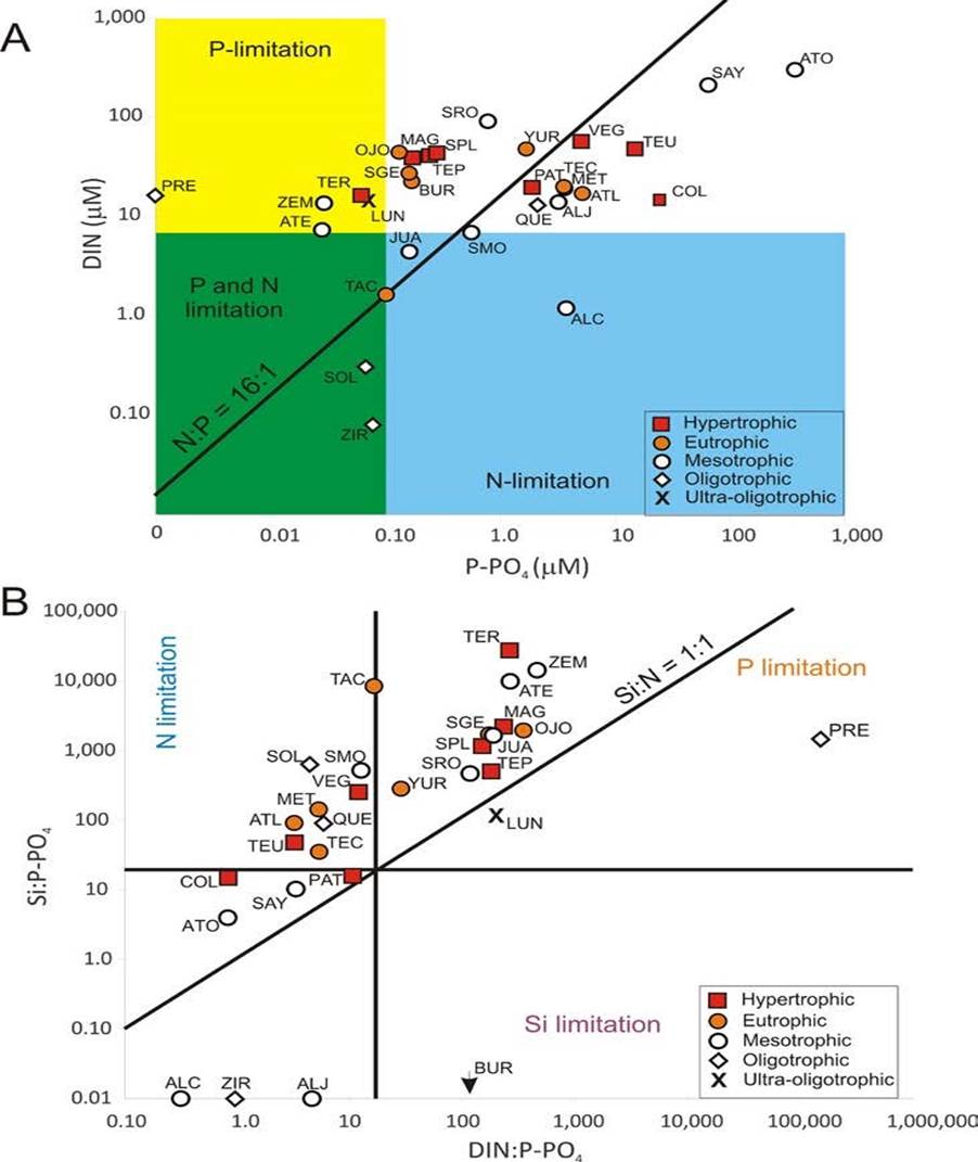 Nutrients in surface waters from the 30 lakes studied along the Trans-Mexican Volcanic Belt, central Mexico. A) P-PO4 and DIN molar concentrations diagram, diagonal line represents the Redfield (1958) N:P 16:1 ratio, shaded areas define nutrient limiting values according to Reynolds (1999) (P-PO4 < 0.1 µM; DIN < 7 µM). B) Nutrient molar ratios showing areas of Si, N or P limitation according to Xu et al. (2008), diatom growth could be limited by Si availability if Si:P<16 and/or Si:N<1. Abbreviations correspond to those in Table 1.
