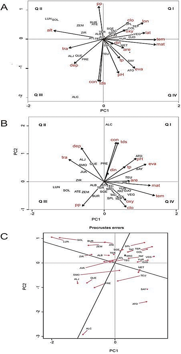 Principal component analysis (PCA) ordination of the 30 lakes studied along the Trans- Mexican Volcanic Belt, central Mexico; arrows indicate the geographic, climatic and limnological variables. A) PCA including latitude, longitude and altitude. B) PCA without latitude, longitude and altitude. C) Procrustes analysis showing the displacement of the sites between both ordinations. Abbreviations of waterbodies correspond to those in the chart of each waterbody (Figure 2 - 3). Abbreviations of environmental variables: alt, altitude; are, area; clo, chlorophyll a; con, electric conductivity; dep, maximum depth; din, dissolved inorganic nitrogen; eva, mean annual evaporation; lat, latitude; lon, longitude; mat, mean annual temperature; oxy, dissolved oxygen; pH, pH; pp, mean annual precipitation; tds, total dissolved solids; tem, water temperature; tp, total phosphorus; tra, transparency. Abbreviations correspond to those in Table 1.
