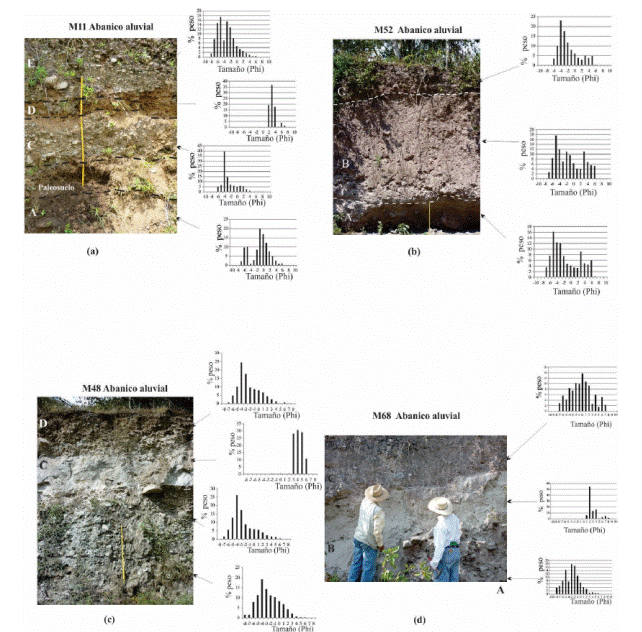 Histogramas de frecuencia de tama&ntilde;os de part&iacute;cula de dep&oacute;sitos de flujos de escombros en abanicos aluviales de la cuenca de Motozintla. (a) secci&oacute;n M11, el afloramiento muestra dep&oacute;sitos de flujos de escombros separados por paleosuelos. (b) secci&oacute;n M52, se observa un dep&oacute;sito masivo con clastos grandes (Moda en -5φ), soportados por una matriz compacta y endurecida. (c) secci&oacute;n M48 y (d) secci&oacute;n M68, muestran dep&oacute;sitos estratificados con variaci&oacute;n textural por tratarse de flujos pirocl&aacute;sticos retrabajados.