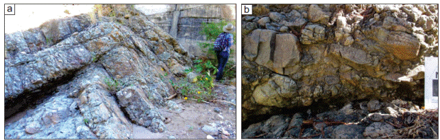 Photographs showing details of conglomeratic deposits of the Rosario Formation: (a) clastto matrix-supported, poorlysorted conglomerate showing crude bedding; (b) imbricated volcanic clasts in a conglomeratic deposit.