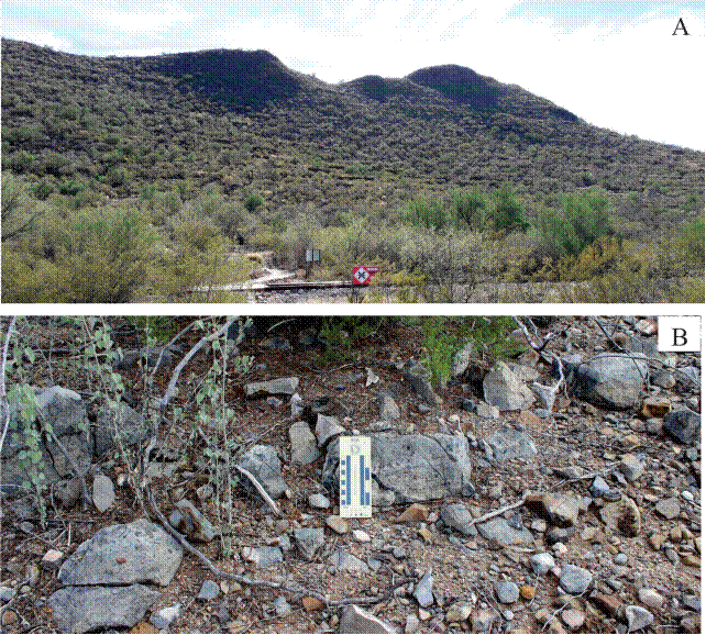 Cerro Trincheras, archaeological site located just south of the town of Trincheras. A site museum located at its base displays ceramics and other artifacts used by this culture (200-1450 dC; Amador-Bech, 2010). B) Outcrop of bioclastic limestone with crinoids of the lower member of the Sierra de Santa Rosa Formation in the mountains of the same name (GSA scale indicates centimeters to the left and inches to the right).