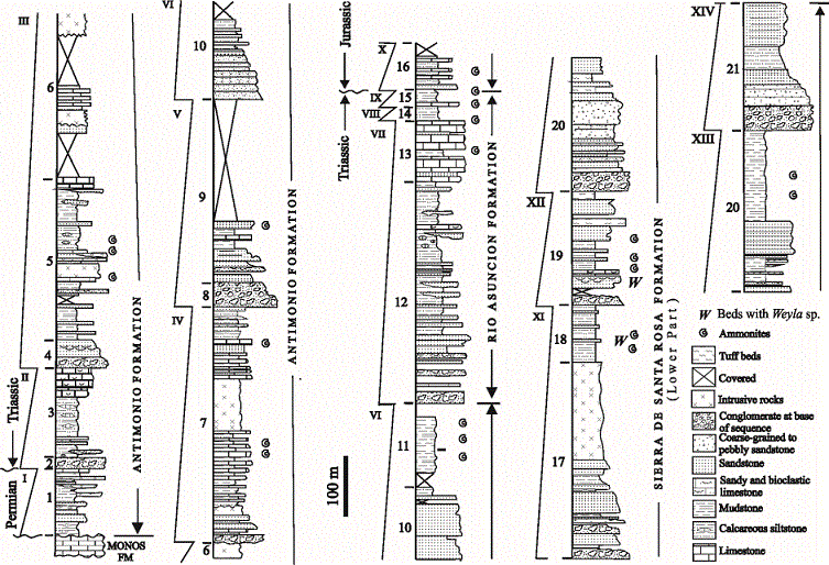 Composite lithostratigraphic column of the El Antimonio Group in the Sierra del &Aacute;lamo, type section, northwestern Sonora (modified from Gonz&aacute;lez-Le&oacute;n, 1997a).