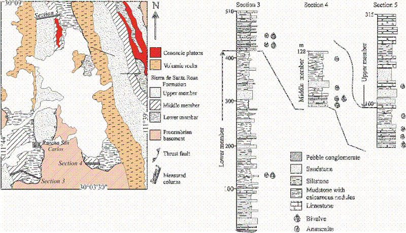 Geologic map of the Sierra de Santa Rosa (figure to the left) showing the lower, middle and upper members of the Lower Jurassic Sierra de Santa Rosa Formation (modified from Hardy, 1981) and stratigraphic columns (figure to the right) of measured sections 3, 4 and 5 (reported in Damborenea and Gonz&aacute;lez-Le&oacute;n (1997): Location of these sections is indicated in the geologic map.