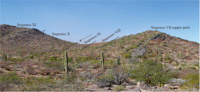Outcrop of the Upper Triassic (Norian-Rhaetian) sequences VII to IX and the Lower Jurassic (uppermost Hettangian-early Sinemurian) sequences X and XI. Arrow indicates the Triassic/Jurassic contact that is placed at the base of sequence X.