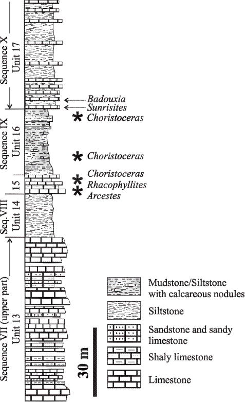 Stratigraphic succession of the Upper Triassic (Norian-Rhaetian) and Lower Jurassic (upper Hettangian-lower Sinemurian) strata in the El Antimonio Group, Sierra del &Aacute;lamo, northwestern Sonora. Sequences VII to IX compose the R&iacute;o Asunci&oacute;n Formation and sequence X composes the lower part of the Sierra de Santa Rosa Formation. Stratigraphic position of some of the ammonites in this succession is also indicated.