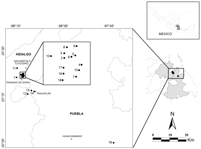 Outcrops localization: 1) La Fiesta; 2) Bopo 1; 3) Bopo 2; 4) Bopo Centro; 5) Bopo 3; 6) Bopo 4; 7) Bopo 5; 8) Temap&aacute;; 9) Temascalapa; 10) Ten-R&iacute;o/Las Juntas; 11) Pe&ntilde;a Blanca; 12) Honey; 13) Potrero; 14) Chipotla; 15) Tv 4; 16) Ten 1; 17) Ten 3; 18) Ten 7; 19) Zongozotla.