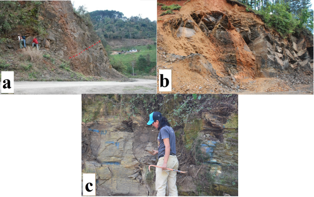 Some outcrops to be seen in the trip: a) Bopo 3 upper part and a lower part. The dashed red line marks the interpreted fauna change; b) Lower Jurassic rocks in Pe&ntilde;a Blanca outcrop, a very productive outcrop from the Upper Sinemurian in the Tenango de Doria / San Bartolo locality; c) Potrero outcrop, Desp&iacute; facies. This facies shows a subtle sedimentary condensation due to an alternation of the very fine sandstone-siltstone layers.
