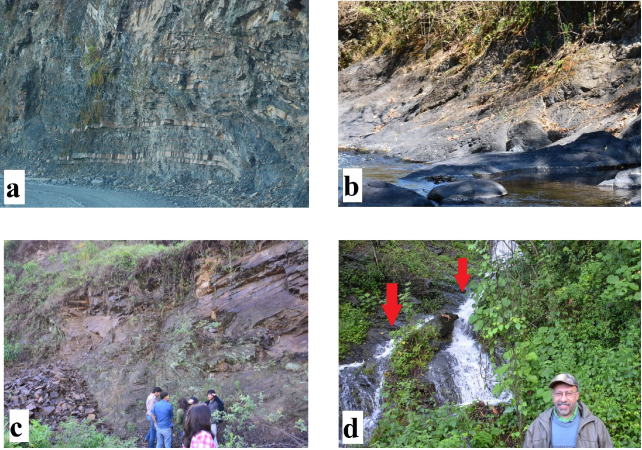 Some different details in the field stops during the trip. a) Temascalapa facies, as can be seen along the route to Temascalapa village; b) Las Junas facies. It can be seen as slaty black siltstoneat Camarones River; c) Desp&iacute; facies at Temap&aacute; outcrop. It is one of the best representatives of such lithology; d) Black siltstone (red arrows) from Tenando facies at Piedras Negras outcrop.