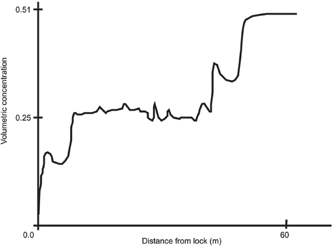 Longitudinal distribution of the particle concentration (in %) after 14 s. The volumetric particle concentration at the upper part of the channel is very low, whereas at the end, the front of the flow becomes very concentrated, as noted by Iverson et al. (2010).