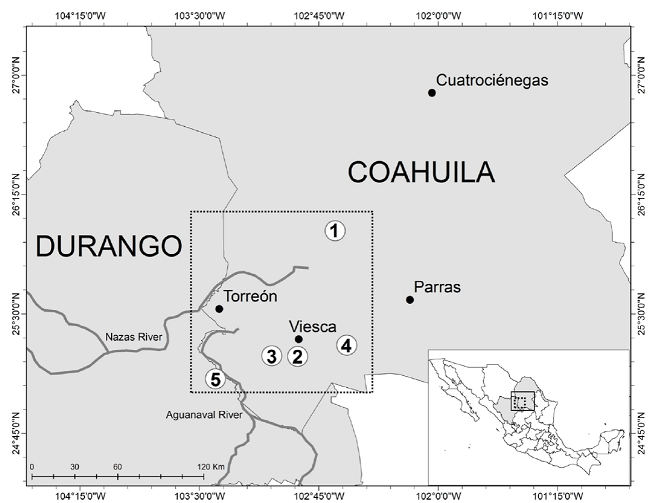 Map of the study area with localization of the sampled sites of the
							Laguna District of Coahuila and Durango. 1 = Holocene playa deposits of
							the Paleo-Lake Irritila (Laguna Mayrán). 2 = Springs of Viesca. 3 =
							Former wetland area of the springs of Viesca. 4 = Lacustrine sub-recent
							deposits of the Paleo-Lake Viesca. 5 = Sub-recent fluviatile deposits of
							the Aguanaval River. Dotted squares = rea of study.
