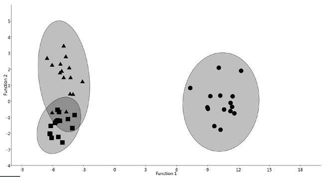 Graphic depiction of the discriminant analysis of morphometric
								variables of three populations of Juturnia. Circles
								= Juturnia gracilis new species, subfossil
								population from Spring Tunel 4, Viesca, Coahuila. Square =
									J. coahuila (Taylor, 1966), a subfossil population from Spring Tunel
								7, Viesca, Coahuila. Triangles = J. coahuila, a
								present-day population from Poza Churince, Cuatrociénegas,
								Coahuila.