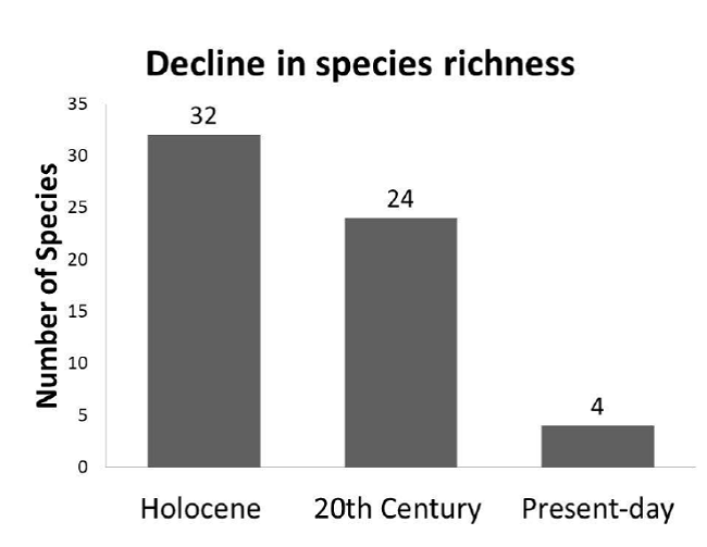 Decline in species richness of freshwater gastropods in the area of
							study during the Holocene.