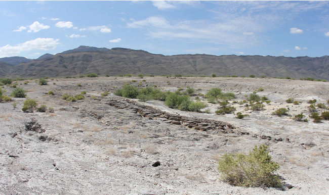 Spring Tunel 1 (Bilbao), Viesca, Coahuila, Mexico, that dried up in
							the second half of the last century (May 2018).