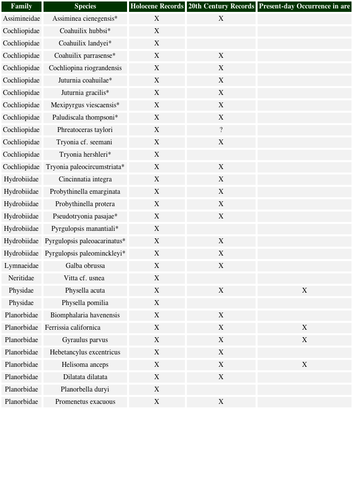 List of gastropod species of the study area and estimated time prior
							of the local extirpation or extinction based on species described in the
							present study as well subfossil species reported previously from the
							same area. * = Endemic species, bold = Species described in present
							paper.
