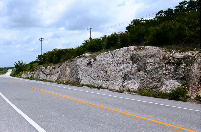 Roadcut in massively bedded gypsum layer of the Icaiche Formation along Highway 186. Note “intrusions” of poorly sorted argillite. At 18.530° N, 89.576° W. Labeled “Prominent Gypsum Outcrop” in Figure 1.