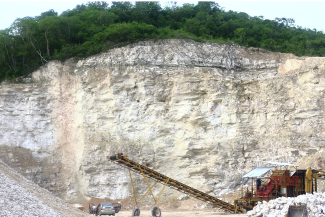 A wall of massively bedded gypsum of the GM of the Icaiche Formation exposed in a quarry 500 m west of Figure 3. Estimated thickness: 25 m. Photograph taken in 2008.