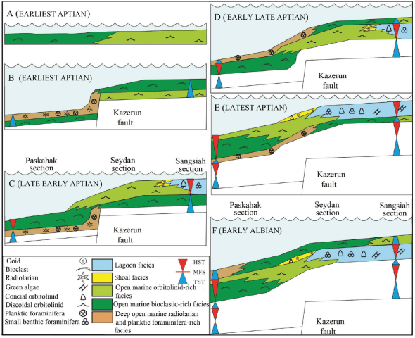 Schematic models of the sequence evolution representing the relative
							influence of sea-level changes and tectonic subsidence in the studied
							sections (not to scale). (A) Initial sea-level transgression or
							sea-level rise and initial deposition of the Dariyan Formation on the
							Barremian Gadvan Formation (earliest Aptian). (B) Deposition of
							radiolarian-bearing facies of the Dariyan Formation during deep
							open-marine subsidence and sea-level rise (earliest Aptian). (C)
							Highstand systems tracts led to deposition of orbitolinid-rich facies in
							the deep open-marine setting (outer ramp) (late early Aptian). (D)
							Sea-level rise led to deposition of planktic foraminifera-bearing
							deposits (early late Aptian). (E) Sea-level fall and progradation of
							platform top (shallow open-marine, shoal, and lagoonal settings)
							deposits into the outer ramp (deep open-marine setting) (latest Aptian).
							(F) Deposition of the Albian Kazhdumi Formation on the Aptian- Albian
							Dariyan Formation during the sea-level rise (early Albian).