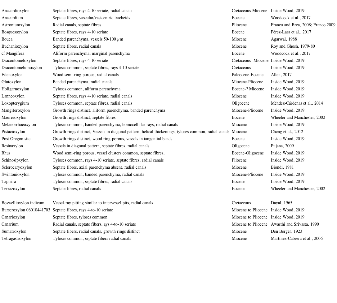 Summary of comparison between Anacardiaceae fossil woods and Llanodelacruzoxylon sandovalii. Data were obtained from the Inside Wood Database (Wheeler et al., 2011).