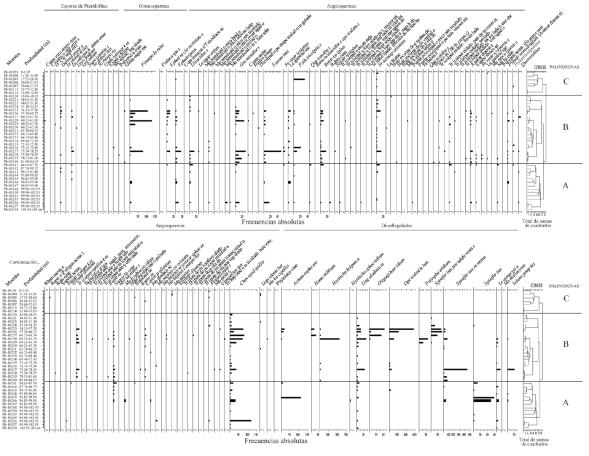 Palinozonas identificadas en la columna estratigráfica del
								barreno 187, de acuerdo a la distribución de las frecuencias
								absolutas de los taxones continentales y de dinoflagelados
								registrados. Formación El Cien, San Juan de la Costa, Baja
								California Sur, México.