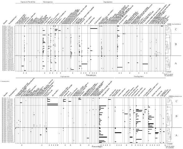 Distribución de los porcentajes del conjunto continental y de
								dinoflagelados del barreno 187, Formación El Cien, San Juan de la
								Costa, Baja California Sur, México.