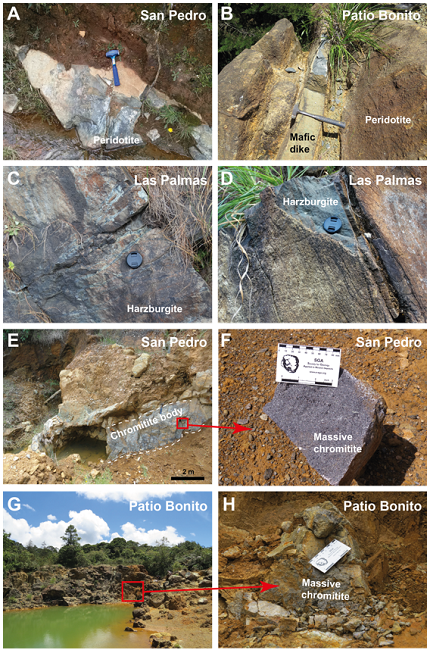 Field photographs of San Pedro, Patio Bonito, and Las Palmas
localities. (A) Metaperidotite outcrop in the San Pedro locality. (B)
Metaperidotite outcrop crosscut by a mafic dike or sill in the Patio
Bonito locality. (C) and (D) Metaharzburgite outcrops in the Las Palmas
locality. (E) Chromitite body in the San Pedro locality. (F) Massive
chromitite hand-specimen from the San Pedro locality. (G) General view
of the Patio Bonito Mine. (H) Zoom on the massive chromitite in the
Patio Bonito locality.