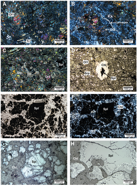 Microphotographs of metaharzburgites, metadunites and
chromitites from the MMU. (A) Metaharzburgite with tremolite
(Tr) and relict olivine
(Ol1) replaced by serpentine and chlorite
(Chl). Transmitted light and crossed
nicols. (B) Metaharzburgite with relict olivine
(Ol1), secondary olivine
(Ol2), chlorite (Chl) and
late carbonate veins. Transmitted light and crossed nicols. (C)
Metadunite showing magmatic olivine (Ol1)
altered to serpentine (Srp) and iddingsite.
Talc (Tlc) and accessory spinel
(Spl) are also observed. Transmitted light
and crossed nicols. (D) Metadunite with olivine
(Ol1) partially altered to serpentine.
Chromian spinel (Spl) is surrounded by a
decussate chlorite (Chl) corona. Transmitted
light and parallel nicols. (E) Chromitite with coarse chromian
spinel (Spl) crystals in a chlorite matrix
(Chl). Transmitted light and parallel
nicols. (F) Same as E in transmitted light and crossed nicols.
(G) Chromitite showing strongly altered and fractured chromian
spinel (Spl) crystals surrounded by chlorite
(Chl). Reflected light. (H) Chromitite
showing alteration rims in chromian spinel
(Spl) crystals in chromitite. Reflected
light.