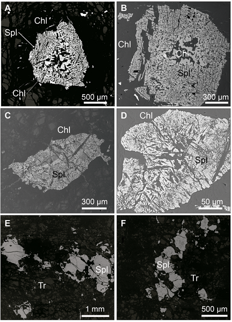 Back-scattered electron images (BSE) of the accessory
chromian spinel in MMU. (A) and (B) Type I chromian spinel
(Spl) (Al-rich) in metaperidotite. Chlorite
(Chl) is present as inclusions within the
chromian spinel that follow the (111) crystallographic planes
and as a corona surrounding the spinel. (C) and (D) Type II
chromian spinel (Cr-Fe2+-rich, and Al-Mg-depleted)
with chlorite inclusions and a chlorite halo surrounding the
spinel. (E) and (F) Type III chromian spinel
(Fe3+-rich) intergrown with tremolite
(Tr).