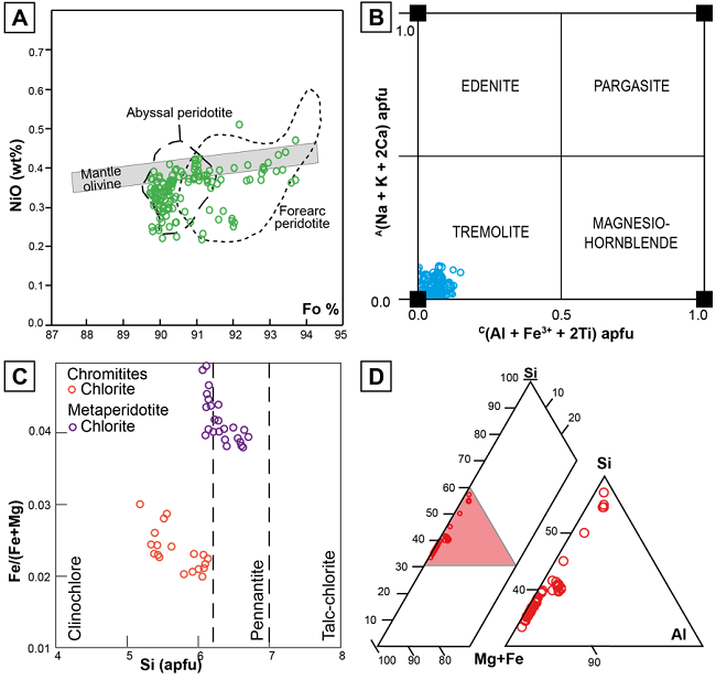 (A) NiO (wt%) vs. Forsterite content (Fo) in olivine from the
metaperidotites of the MMU. Fields for mantle olivine are fromTakahashiet
al. (1987), fore-arc peridotite fromIshiiet
al. (1992) and abyssal peridotite fromMoghadamet al.
(2015). (B) Amphibole classification diagram
according toHawthorneet al. (2012), variations ofA(Na + K + 2Ca) a.p.f.u. vs.C(Al +
Fe3+ + 2Ti) a.p.f.u. (C) Fe/(Fe + Mg) vs. Si
a.p.f.u. classification diagram for chlorite according toHey (1954), for the
metaperidotites and chromitites of the MMU. (D) Si, Al, Fe + Mg
distribution diagram for serpentine of the MMU
metaperidotites.