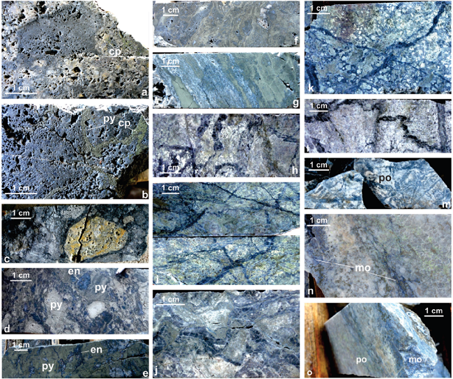 Selected photographs of La Pava. (a, b) Vuggy residual quartz rock
							with pyrite and chalcopyrite mineralization. (c-f) Various examples of
							the hydrothermal breccia body that hosts the bulk of the mineralization,
							including clast of vuggy residual quartz, sulfide-cemented zones, and
							massive sulfide zones following bedding planes. (h-m) Aspects of the
							quartz-veinlet stockwork zones highlighting the contorted and banded
							nature of early veinlet events crosscut by younger, more planar
							veinlets. The pyrophyllite-dominated patchy texture (m) involves intense
							quartz veining. (n, o) Samples of molybdenite in
							pyrophyllite-sericite-illite-altered rock, with molybdenite occurring as
							irregular seams and fractures in ledges with quartz-alunite, pyrite, and
							enargite. Abbreviations: cp: chalcopyrite; en: enargite; mo:
							molybdenite; py: pyrite; po: pyrophyllite.