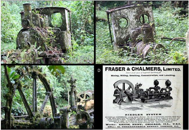 The industrial heritage of the Cana mine. A, B) Two abandoned
								light steam locomotives from the 50 km long, 60 cm narrow gauge
								railway from Boca de Cupé to the mine built in 1907. They were
								manufactured by Orenstein & Koppel of Germany at Drewitz in
								Potsdam, near Berlin, a specialist in light railway locomotives. The
								larger engine (A) is 30 to 40 hp, and the smaller one (B) is 20 hp.
								C) A steam-powered pumping engine manufactured by Fraser &
								Chalmers, Limited at Erith, Kent, England. There are also winch
								drums from the shaft and railway carriages at the site. D)
								Advertisement by Fraser & Chalmers for a similar steam engine.
								Photographs taken in 2009 by Dr. Glyn Dawson, Chicago and published
								with his permission. Thanks to Jeremy Martin, London for identifying
								the locomotives. A similar steam pump also exists at the El Formón
								mine on the Rio Belen, Veraguas gold district, as illustrated by
									Méndez (2013) (John
								Griggs, pers. comm., 19 April 2009).