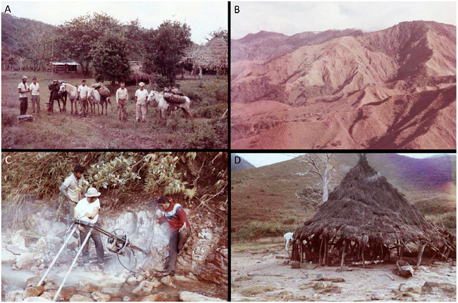 The first drilling of the Cerro Colorado porphyry copper deposit
								was carried out by Canadian Javelin Limited in 1971, 15 years after
								the deposit was discovered in 1957. A). Geological expedition with
								mules at Boca del Monte, November 1970. Geologist Tyler Kittredge is
								second from the right. B) Cerro Colorado in November 1970 before any
								trails were made. C) Drill hole no. 1 was drilled with a portable
								Winkie drill by Stan Stewart (driller) in February 1971. D) A native
								hut or bohio served as the first core shack at Escopeta, February
								1971. The photographs are from an album made by the late John C.
								Doyle, Chief Executive Officer of Canadian Javelin, and now in the
								possession of his neighbor in Panama, Robert Karman, mine
								engineer.