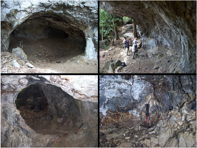 A possible pre-Columbian mine working and rockshelter at Cerro
								Cebollal (site CR-134) near La Pintada (Mayo et al., 2007; Sánchez Hérrera, 2007). Stone
								mining hammers, two mortars and a pestle were excavated here
								associated with Conte-style ceramics of the period 700-1000 CE. The
								smooth, curved walls may be the result of fire setting for
								excavation. The excavations are along the contact of a rhyolite lava
								and underlying tuff, with weak argillic alteration to quartz, clay,
								pyrite and jarosite along the contact and in fractures (D). The mine
								may have exploited gold, jarosite for pigment, or agate.
								(Photographs by Stewart Redwood, 31 March 2009).