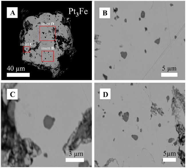 BSE images of an Pt-Fe alloy grain hosting numerous
									inclusions of cuprorhodsite.