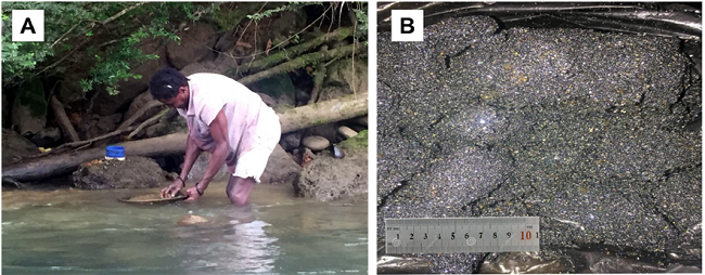 A) Sampling and pre-concentration on-site of heavy minerals at Río
							Santiago; B) Sample RS1 that was sent to the University of
							Barcelona.