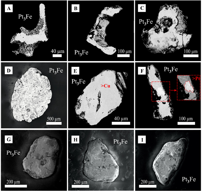 (A-F) Back-scattered electron (BSE) images and (G-I)
									Secondary electron (SE) images of characteristic grains of Pt-Fe
									alloy, E) Pt-Fe alloy with high Cu content (6.2 at. %), F) Pt-Fe
									alloy with Pt-rich (bright) central part.
