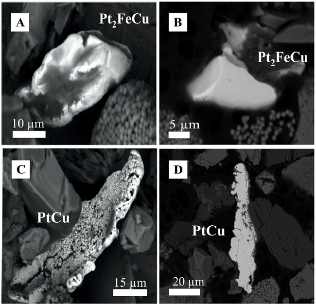 BSE images of unpolished and polished tulameenite (A and B)
									and hongshiite (C and D).