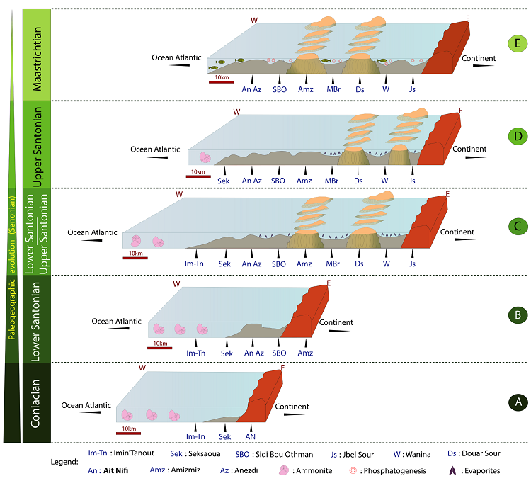 Paleogeographic evolution of the Late Cretaceous of the Northern
								side of the High Atlas Range of Marrakesh.