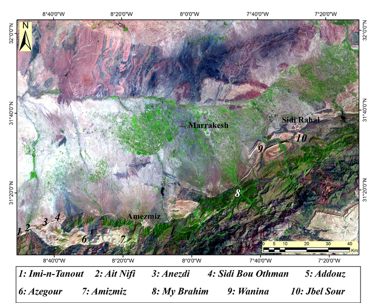 Location of the study area and measured sections.