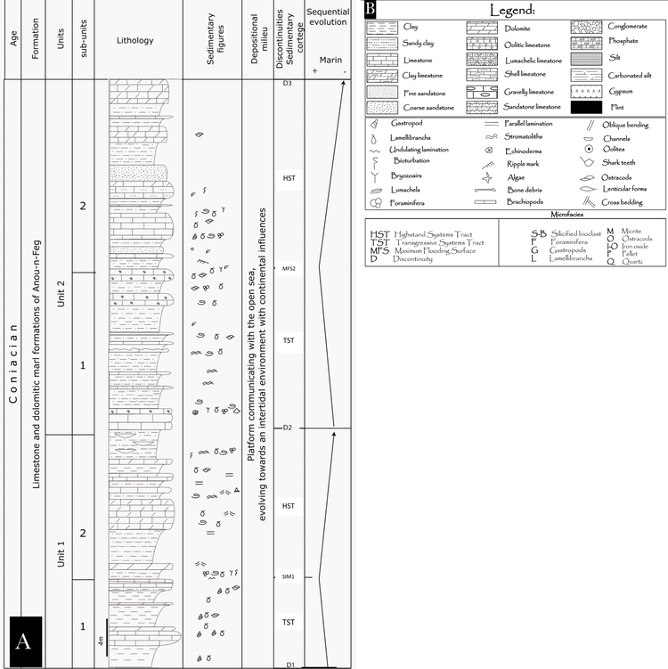 A) Lithostratigraphic log and sequential evolution of the Anou-Nfeg
							Formation.B) List of figures (legend).