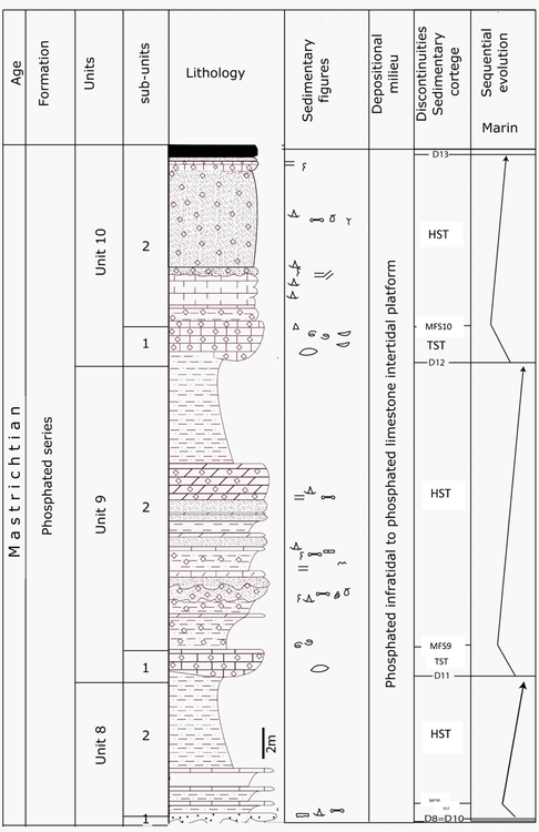 Lithostratigraphic log and sequential evolution of the Chichaoua
							Formation.
