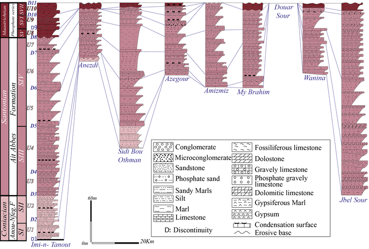Lithostratigraphic correlations.