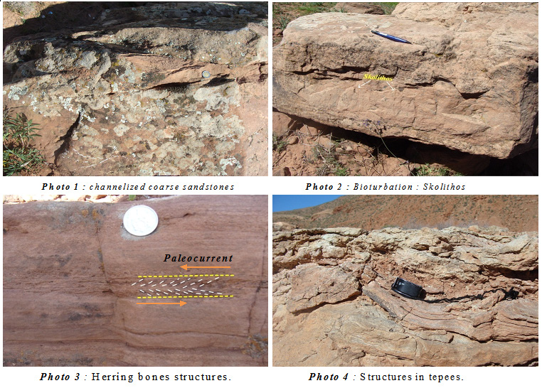 Sedimentary figures and structures found in the Aït Abbes
								Formation. Photo 1: Coarse-grained channeled sandstone; Photo 2:
								Skolithos type bioturbation in sandstone beds; Photo 3: Herring bone
								structures; Photo 4: Tepees structures in carbonate levels.