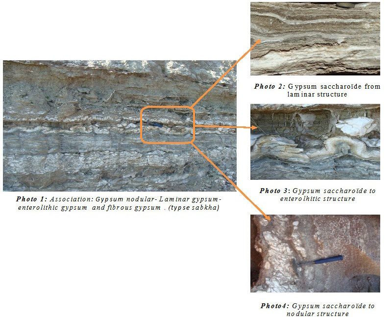 Gypsiferous structures found in the Aït Abbes Formation (eastern
								area) within the SIV.