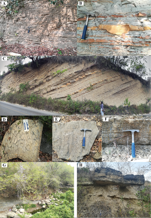 Representative photographs of the outcrops. A and B are
							intercalations of sandstone and mudstone beds, with common cut and fill
							structures corresponding to small, channelized flow (site TMI4). C-
							cyclic very fine sandstone and shale intercalations (right hand side of
							photograph), interrupted by beds of medium-grained sandstone (site TMI6
							and 7; Mecapalapa area). D- flute casts, E- trace fossils, and F-
							laminated normally graded sandstone from the Pantepec area. Fig. 3G
							sites TMI13 and 14 in sandstone channels of the Chicontepec Formation.
							H- Sandstone channel in the Oligocene Palma Real Formation.sampling
							sites (stars).