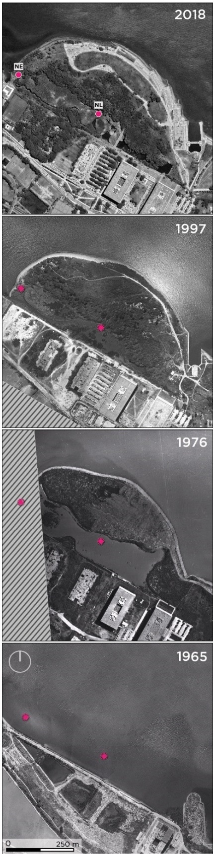 Evolución geomorfológica del área de estudio analizada para interpretar el registro obtenido en los núcleos sedimentario. Se indican con líneas diagonales sectores de imágenes no disponibles. Fuentes: 1965, 1976 y 1997 fotografías aéreas del Gobierno de la Ciudad de Buenos Aires.