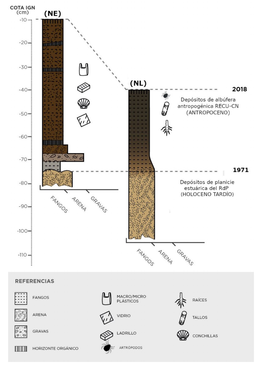 Correlación estratigráfica de las unidades sedimentarias hallados en los núcleos. Las columnas se representan acotadas por debajo del nivel cero del Instituto Geográfico Nacional (IGN).
