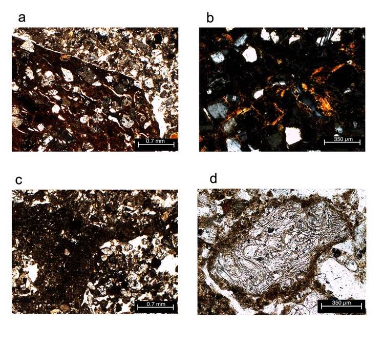 Micromorphology of the fills of the first construction stage: a. ceramic fragment where volcanic materials are observed in RP1, plane-polarized light (PPL); b. illuvial clay coatings from a soil fragment in RP1, cross polarized light (XPL); c. dark soil fragment, crushed and compacted in RP2 (PPL); rounded Fe concretions are observed in the dark groundmass; d. volcanic glass fragment in a sand groundmass in RP2 (PPL).