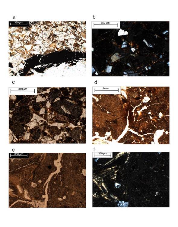 Micromorphology of the third construction stage. B2 sample: sandy groundmass with a granostriated b-fabric with charcoal fragments (PPL); b. soil fragments with clay coatings in a sandy groundmass (XPL); B1 sample: c. compact soil fragments in a sandy groundmass (PPL); d. compact soil aggregates with a subangular blocky structure, with clay coatings; e. compact clayey aggregates with dirty and deformed clay coatings (PPL); f. same as e, with XPL.