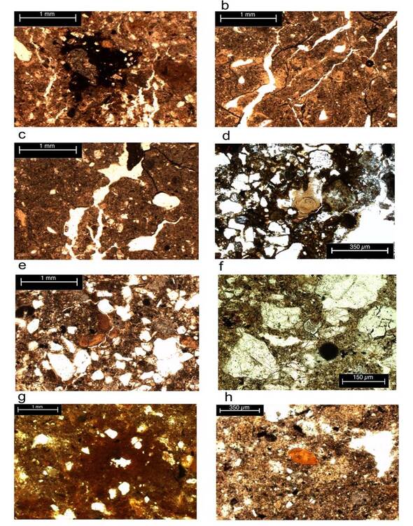 Micromorphology of the reservoir. a. R1 sample clayey groundmass with planar voids and Fe-Mn complex nodules (PPL); R2 sample: b. subangular blocky structure with planar voids, fissures, and elongated pores (PPL); c. dusty clay coatings, weakly oriented (PPL); R3 sample: d. sandy and poorly structured groundmass (PPL); e. rounded soil aggregates, having thick clay coatings (PPL); R4 sample: f. coarse texture with subangular mineral grains (PPL); g. sand particles are floating in a silty-clay groundmass (PPL). R5 sample: h. compact and clayey groundmass, impregnated with Fe; areas with coarser textures where fragmented clay coatings are present (PPL).
