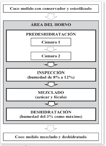 Área del horno del proceso de producción de coco molido deshidratado de la
empresa.